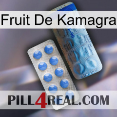 Kamagra Fruit 40